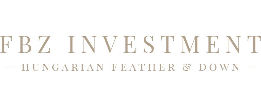 FBZ Investment