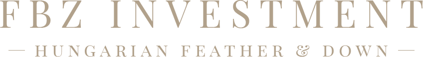 FBZ Investment